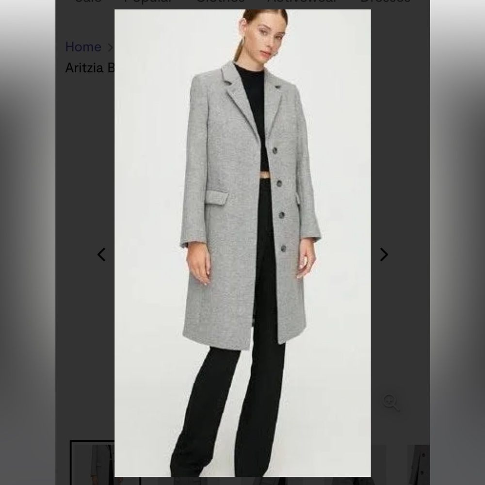 Aritzia Babaton Hartford Wool Coat